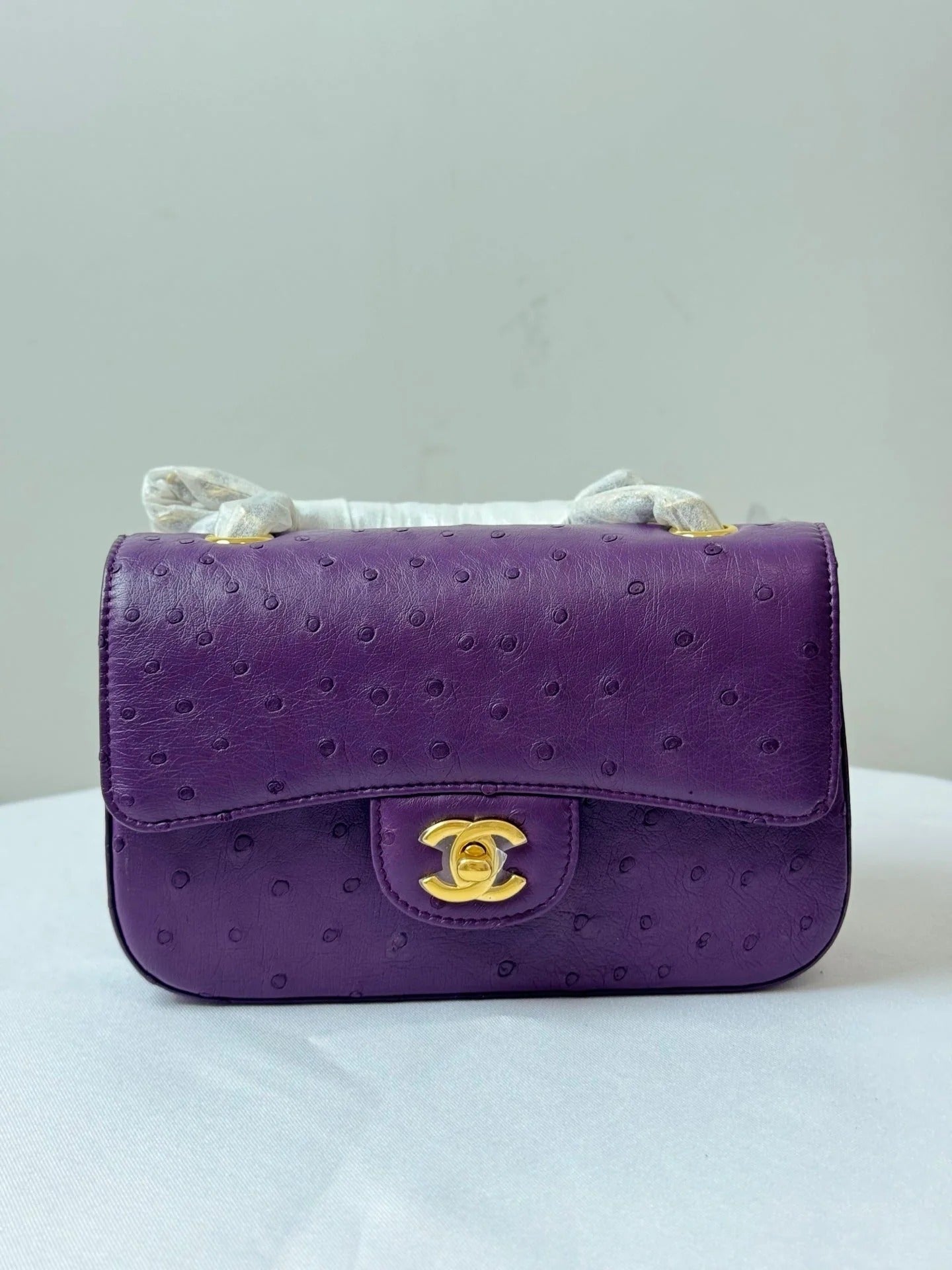 Chanel 2026 Flap Ostrich Embossed Bag 20cm Leather